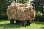 Strohwagen