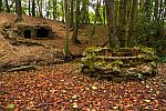 Waldhhle und Steinbrunnen