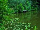 BOOTSANLEGER AM TEICH