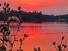 DISTEL VOR SONNENUNTERGANG