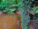 HOLZBRUECKE IM URWALD