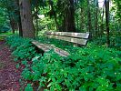 PLATZ IM GRUENEN