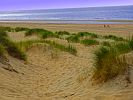 DUENEN AM STRAND