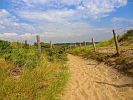 SANDWEG DURCH DUENEN