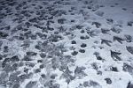 SCHNEEMATSCH
